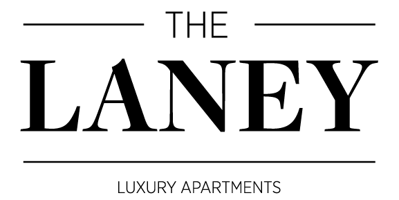 Logo at Laney, Augusta